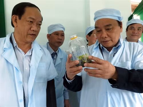 Thủ tướng Chính phủ Nguyễn Xuân Phúc thăm Trung tâm Sâm Ngọc Linh ở huyện Nam Trà My (tỉnh Quảng Nam) . Ảnh : Đỗ Trưởng- TTXVN