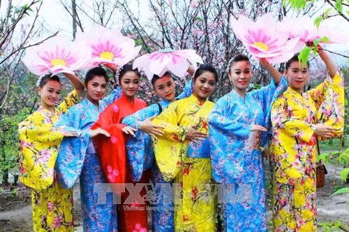 Du khách chụp ảnh lưu niệm trong bộ trang phục Kimono truyền thống Nhật Bản bên những cành hoa Anh Đào. Ảnh: Phan Tuấn Anh - TTXVN
