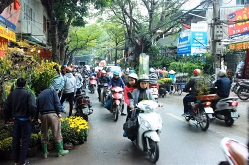 Đi chợ Bưởi xem hoa Xuân ảnh 1