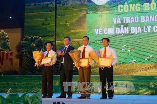 Trao giấy chứng nhận quyền sử dụng chỉ dẫn địa lý Chè Shan tuyết Mộc Châu cho các đơn vị. Ảnh: Hữu Quyết - TTXVN