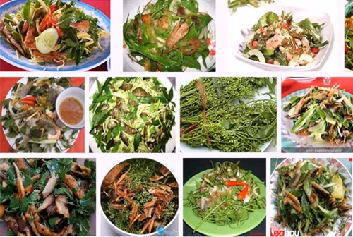Ngọt đắng gỏi sầu đâu An Giang ảnh 2