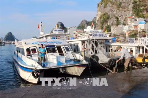 Việc hạn chế số lượng chuyến tàu ra đảo nhằm giảm tải lượng khách trên đảo, giảm áp lực về điện, nước do sự cố mất điện gây ra. Ảnh: Văn Đức - TTXVN