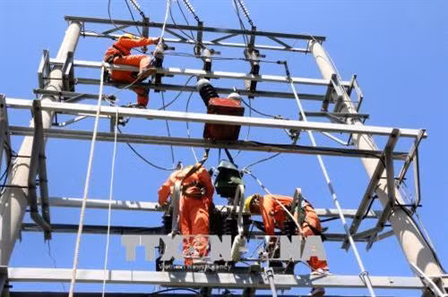 Điện lực Quảng Ninh đang nỗ lực khắc phục sự cố sét đánh làm hỏng đường dây 22KV khiến đảo Cô Tô mất điện toàn bộ. Ảnh: Văn Đức - TTXVN