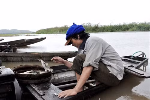 Ngư dân đánh bắt cá trên sông Krông Ana.