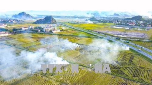 Người dân đốt rơm rạ trên đồng và ven quốc lộ gây ảnh hưởng mất ATGT cho các phương tiện tham gia giao thông. Ảnh: Minh Đức - TTXVN