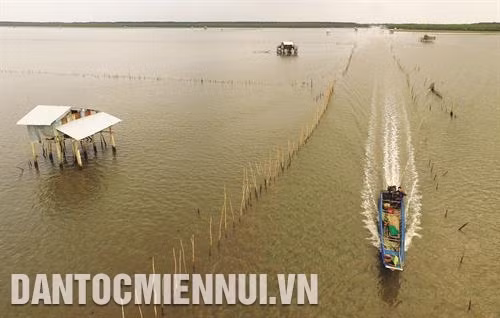 Vùng bãi bồi ven biển thuộc huyện An Biên rộng trên 10.000 ha, tạo điều kiện thuận lợi để bà con nông dân vùng Miệt Thứ phát triển nuôi nhuyễn thể như: nghêu, vẹm xanh, sò huyết...