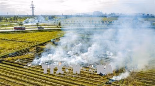 Người dân đốt rơm rạ trên đồng và ven quốc lộ gây ảnh hưởng mất ATGT cho các phương tiện tham gia giao thông. Ảnh: Minh Đức - TTXVN