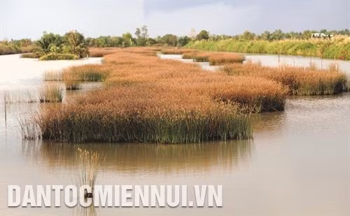 Mô hình trồng cỏ trên đất nuôi tôm ở ấp Xẻo Nhàu A, xã Tân Thạnh, huyện An Minh Trạm cấp nước khu vực 4 thuộc Hệ thống cấp nước liên xã huyện An Minh vừa được khánh thành đầu năm 2018, cung cấp nước sinh hoạt ổn định cho người dân ở 5 xã ven biển: Tây Yên, Nam Yên, Tây Yên A, Nam Thái và Nam Thái A