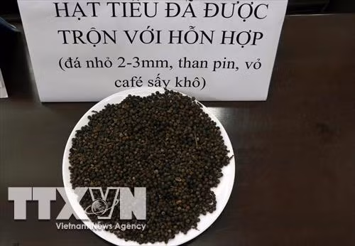 Hạt tiêu sau khi được trộn với hỗn hợp đá nhỏ 2-3mm, than pin, vỏ cà phê sấy khô. Ảnh: Hưng Thịnh – TTXVN