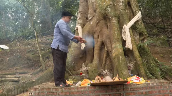 Lễ cúng rừng ở Lào Cai: Lời hứa tôn trọng thiên nhiên và bảo vệ biên cương Tổ quốc ảnh 1