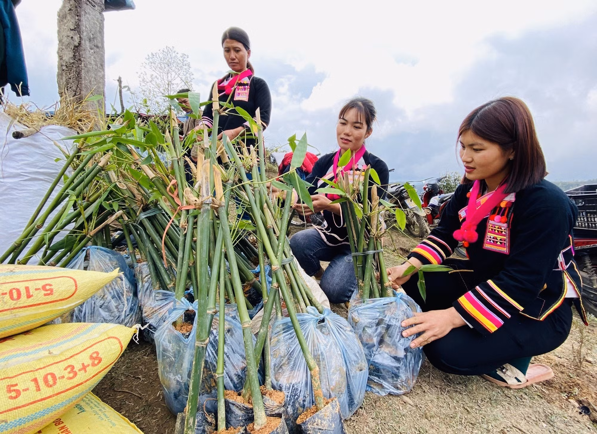 Triển khai mô hình “Lũy tre biên thùy” ở biên giới Lai Châu ảnh 2