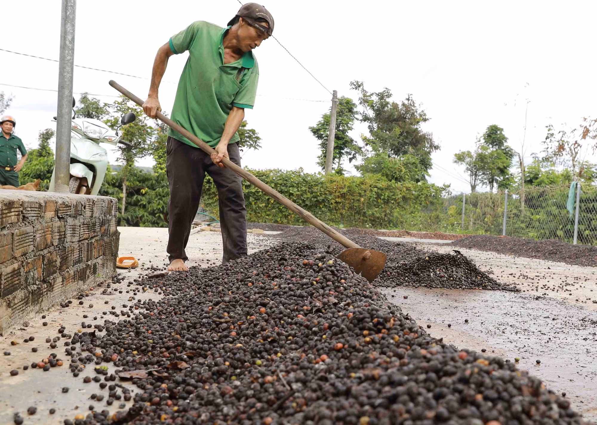 Ưu tiên nguồn lực thực hiện ba chương trình mục tiêu quốc gia tại Đắk Nông ảnh 3