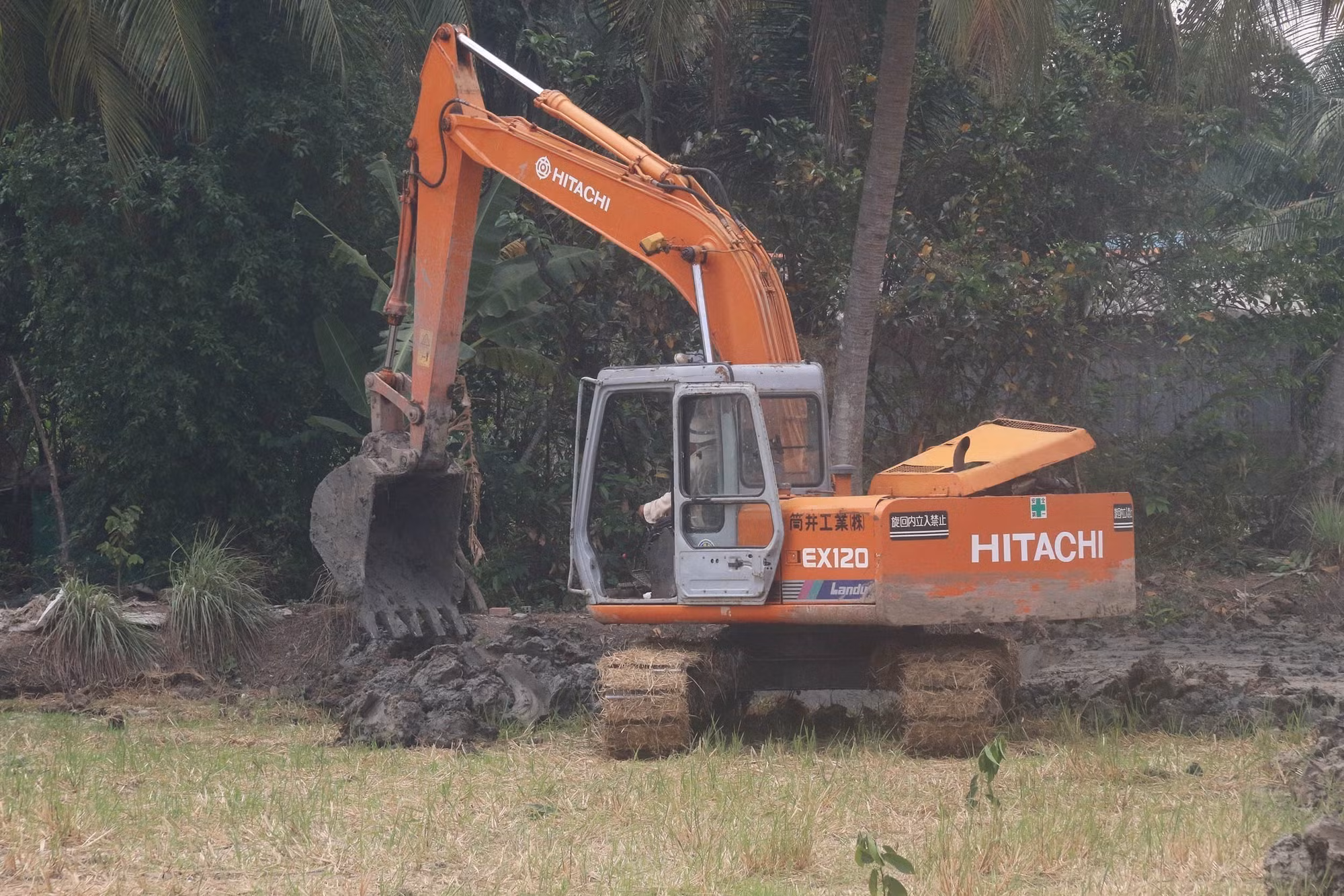 Hiệu quả chuyển đổi sản xuất trên vùng Đồng Tháp Mười ảnh 1