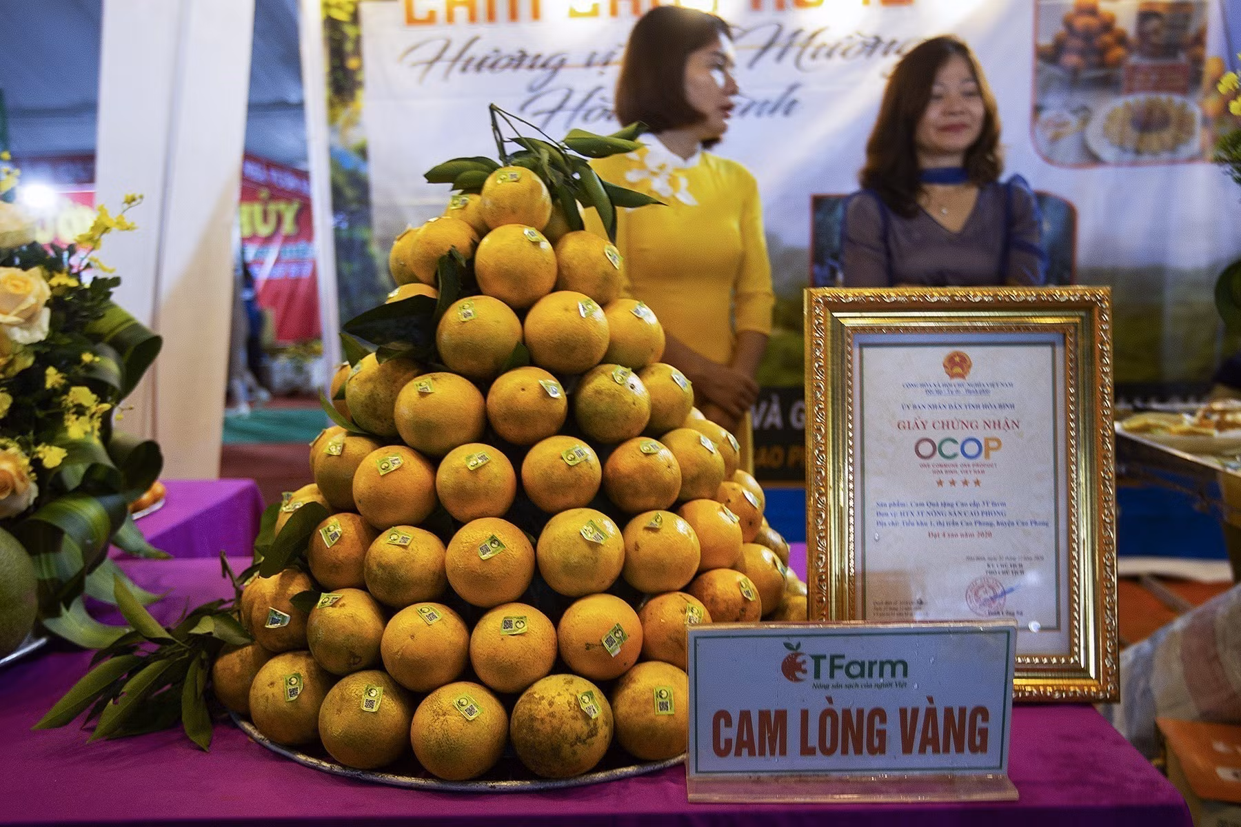 Tạo kết nối, nâng cao giá trị của cam Cao Phong cùng các nông sản chủ lực khác của Hòa Bình ảnh 4