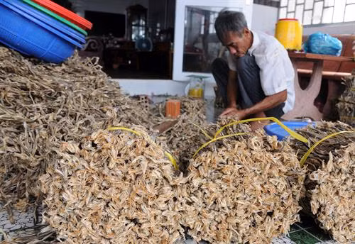 Khô cá khoai được phân loại, đóng gói thành phẩm tại cơ sở sản xuất của gia đình anh Nguyễn Văn Tình ở ấp Kênh Đào (xã Đất Mũi, huyện Ngọc Hiển, Cà Mau). Ảnh: An Hiếu.