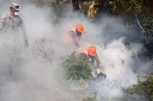 Chủ động phòng chống dịch bệnh do virus Zika ảnh 1