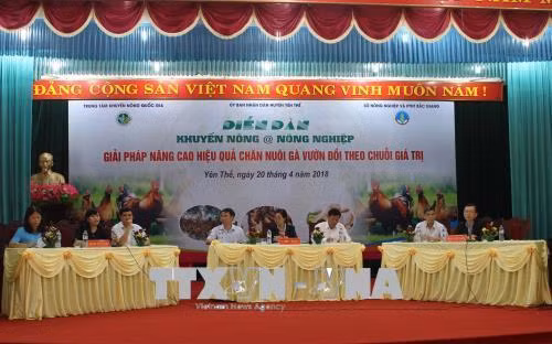 Đại diện Ban cố vấn trả lời các câu hỏi của người nông dân liên quan đến kiểm soát dịch bệnh trên đàn gà. Ảnh: Tùng Lâm – TTXVN