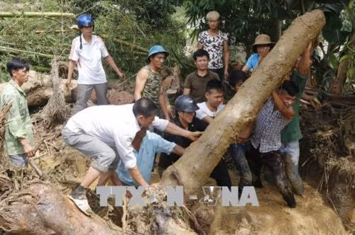 Lực lượng cứu hộ và người dân bản Tủ, xã Sơn Lương, huyện Văn Chấn đang di chuyển cây cối bị lũ cuốn để tìm người mất tích. Ảnh: Việt Dũng - TTXVN