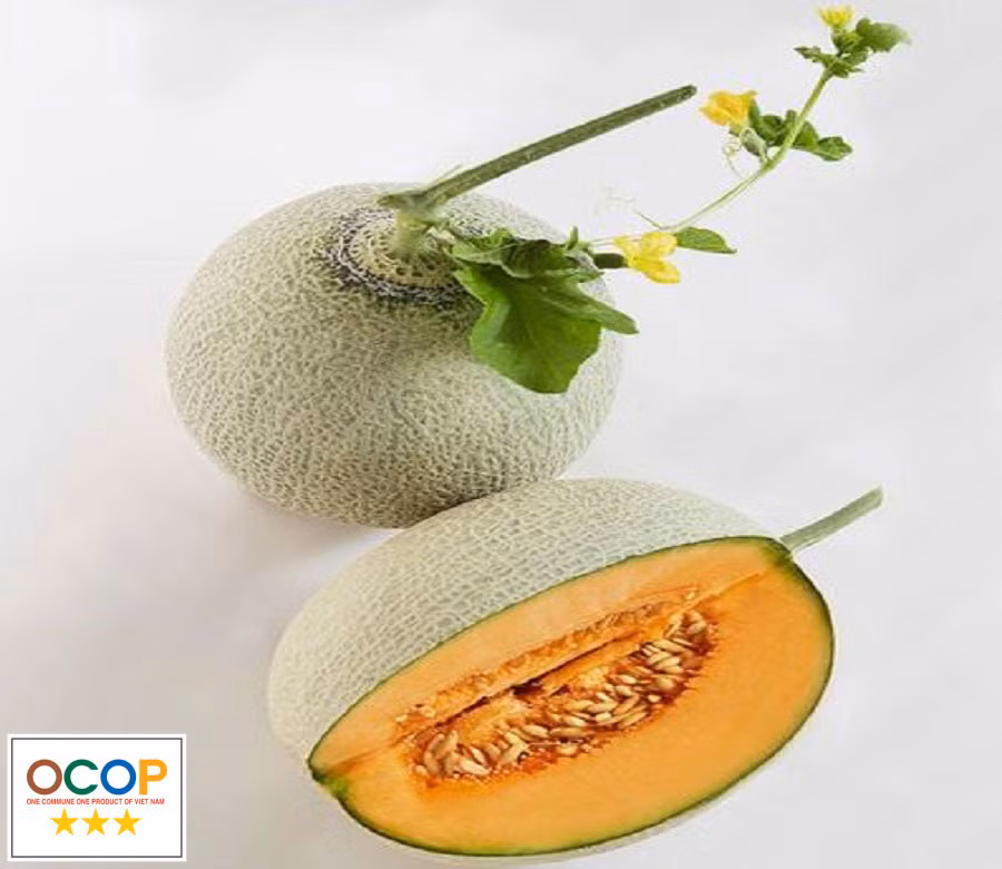 Khánh Hòa dành gần 40 tỷ đồng đầu tư phát triển các ngành nghề nông thôn ảnh 1