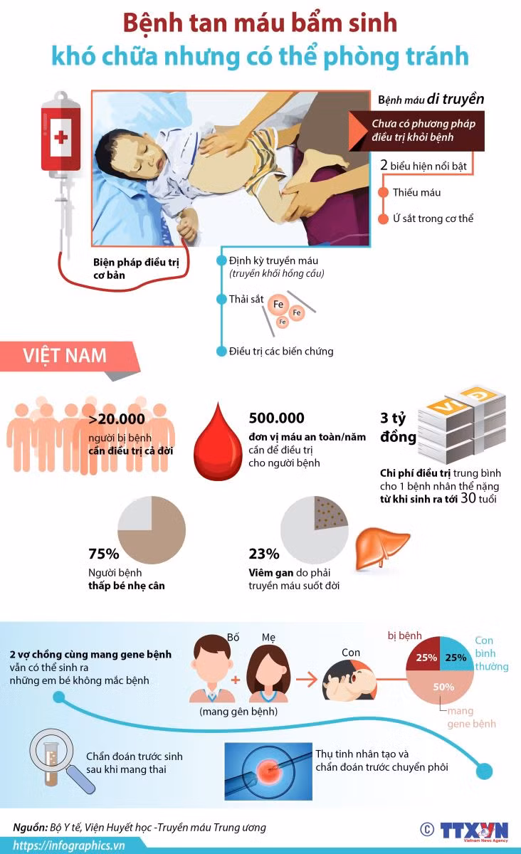 Phòng, chống bệnh tan máu bẩm sinh ở vùng cao, vùng dân tộc thiểu số ảnh 2