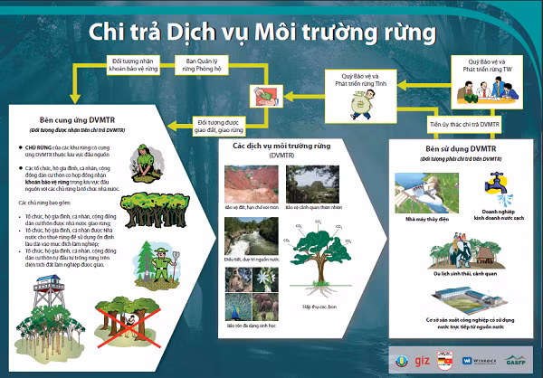 Giữ màu xanh cho rừng Kon Tum ảnh 2