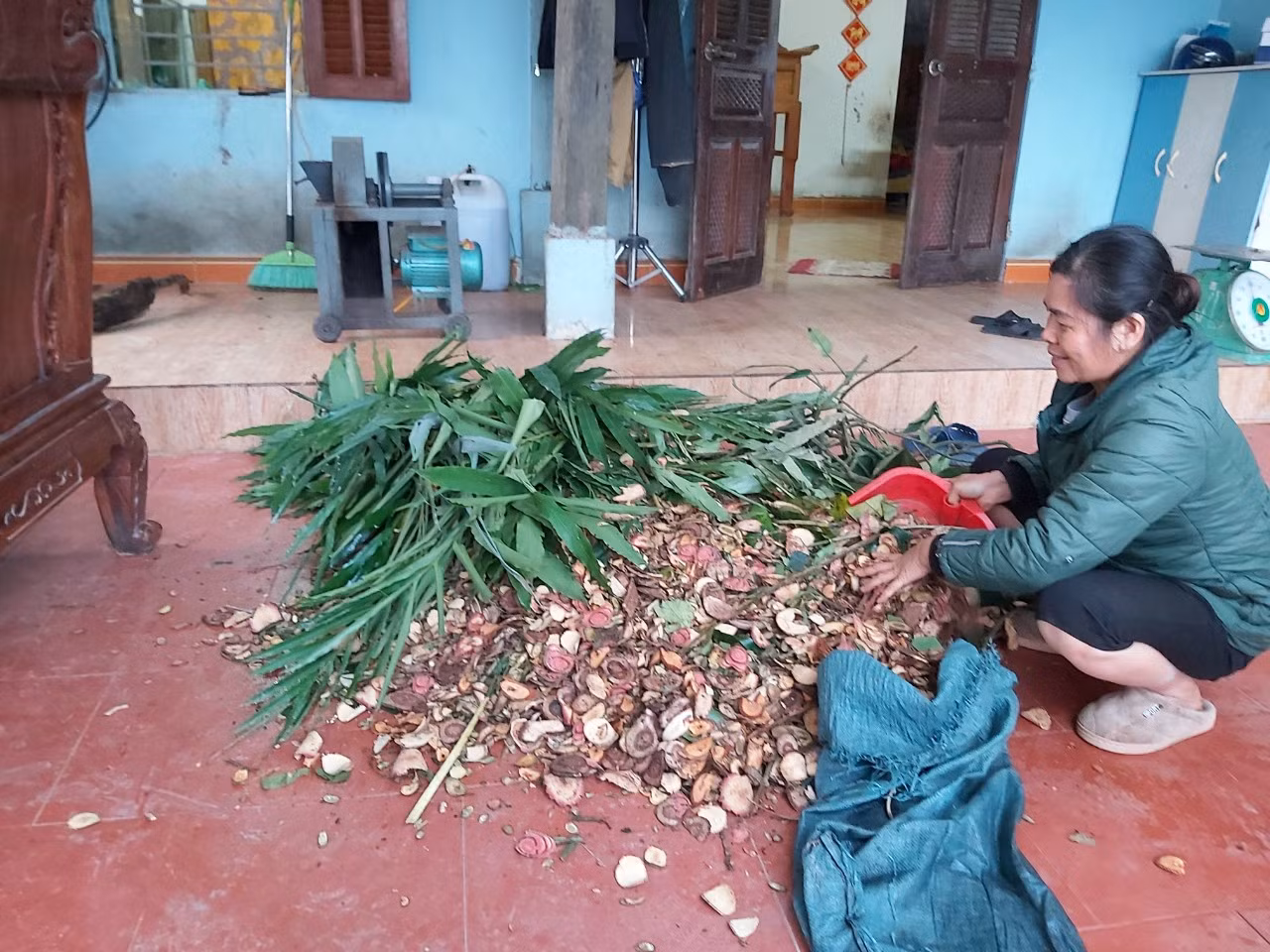 Những phụ nữ vùng cao Lào Cai “xé rào” định kiến ảnh 1