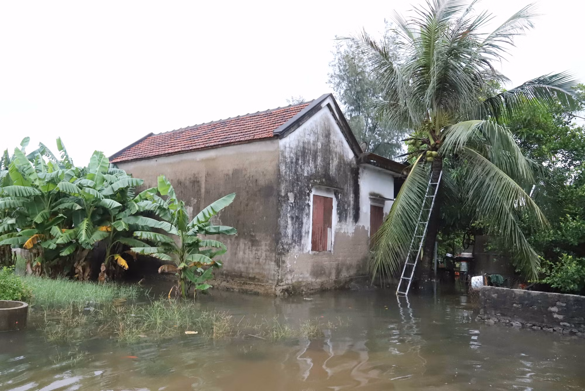Nghệ An: Mưa lớn, nhiều địa phương cho học sinh nghỉ học ảnh 4