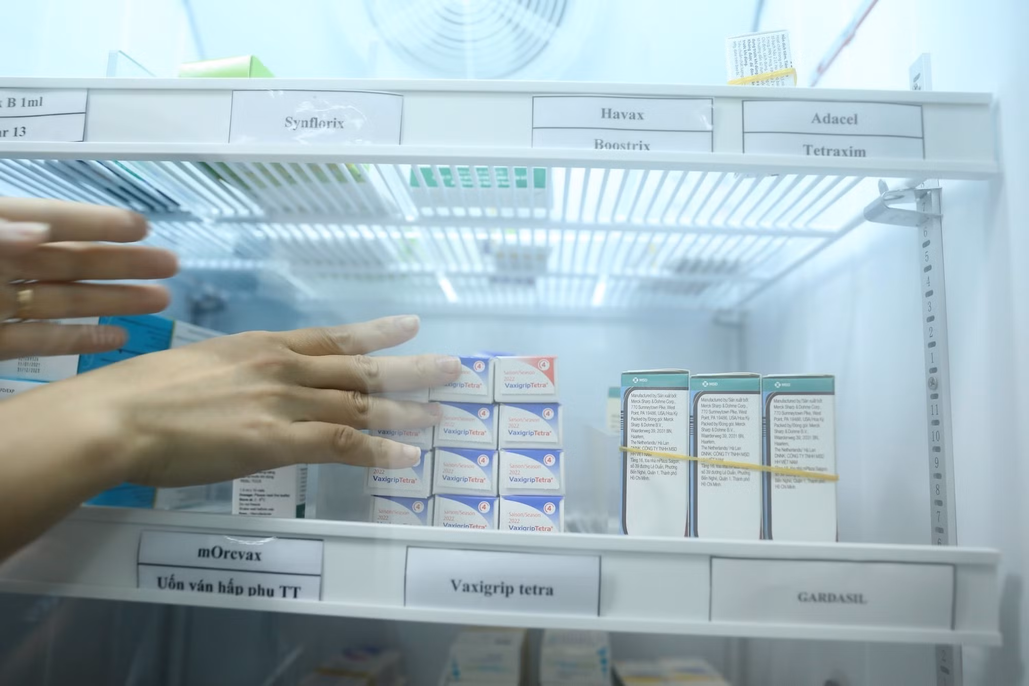 Phát hiện ca bệnh cúm A (H5) trên người sau hơn 8 năm “vắng bóng” ảnh 1