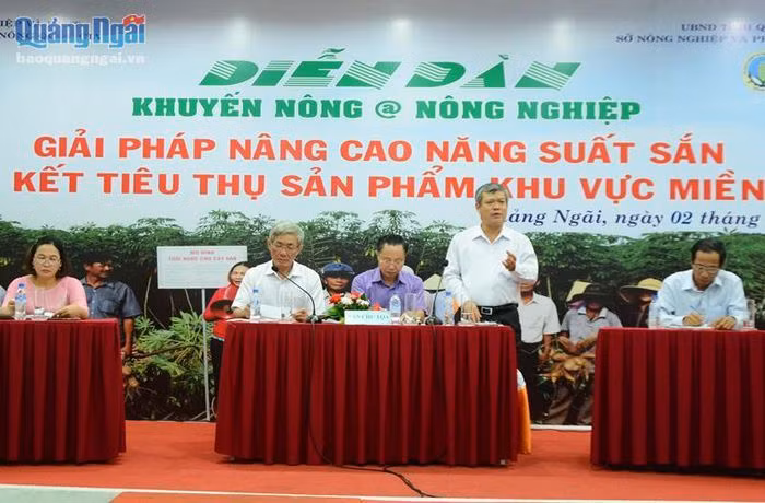 Năm 2019, diện tích sắn (mì) cả nước đạt hơn 519.000 ha. Nguồn :baoquangngai.vn