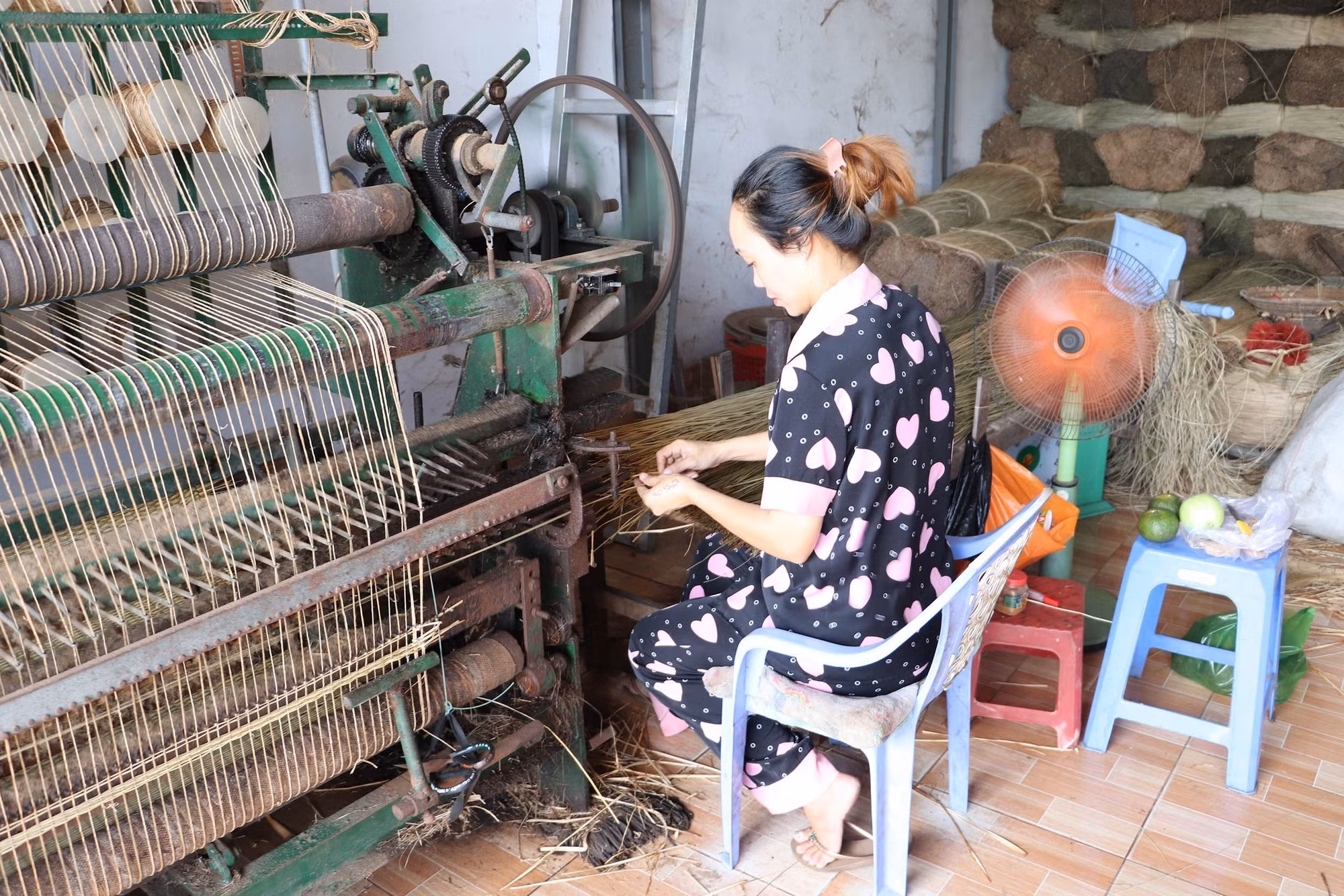 Đa dạng hóa sinh kế, phát triển mô hình giảm nghèo bền vững của tỉnh Tiền Giang ảnh 2