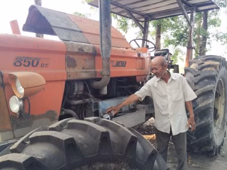 Lão nông Võ Văn Ten trồng rừng bên hồ Dầu Tiếng ảnh 2
