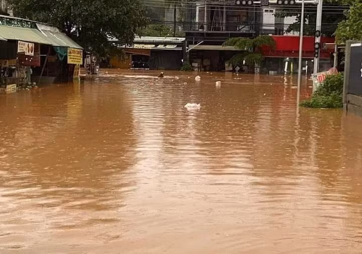 Bình Phước: Hỗ trợ người dân khắc phục hậu quả do mưa lớn kéo dài ảnh 2
