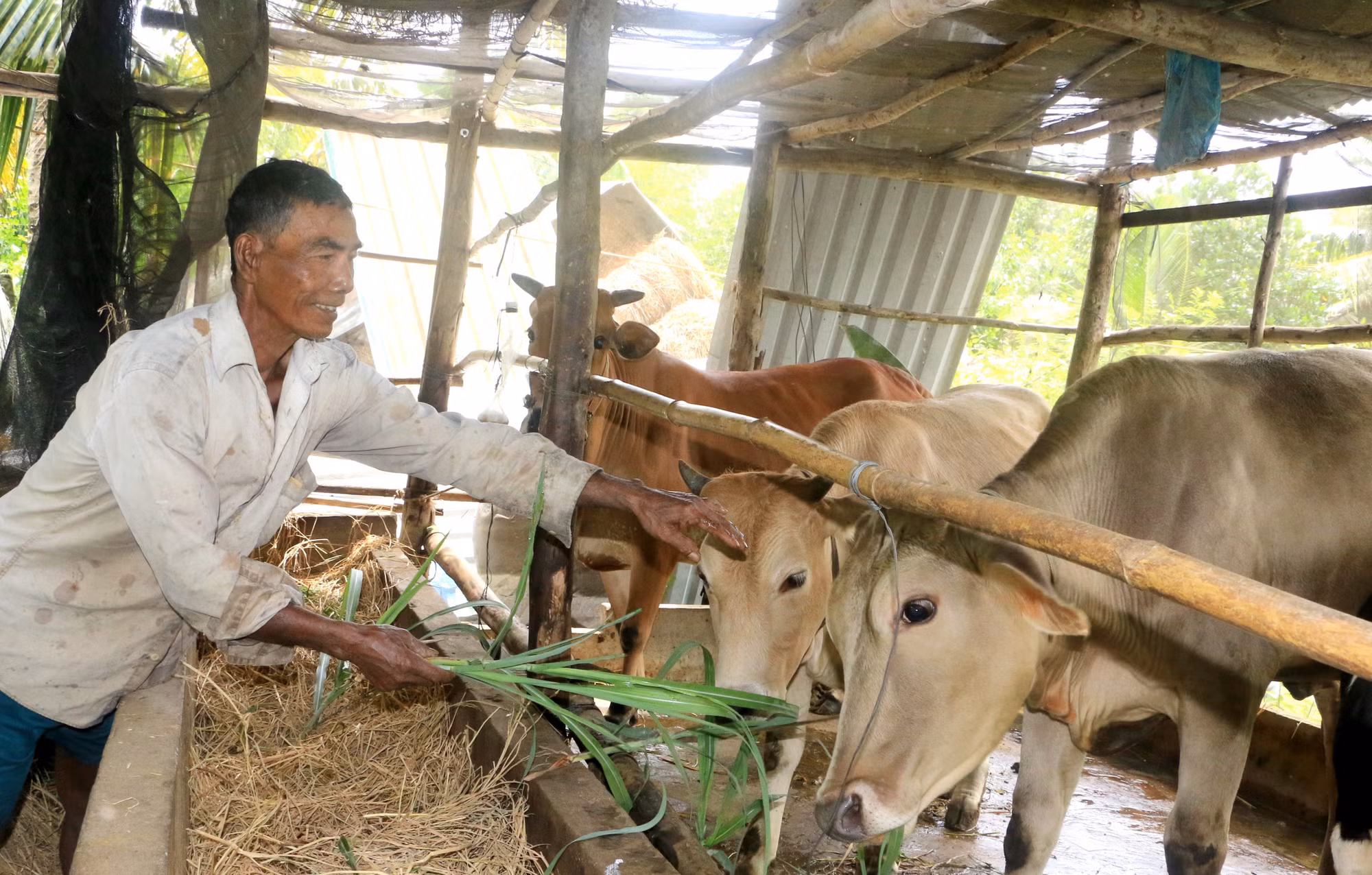 Vĩnh Long đẩy mạnh giảm nghèo ở các xã có đông đồng bào Khmer ảnh 1