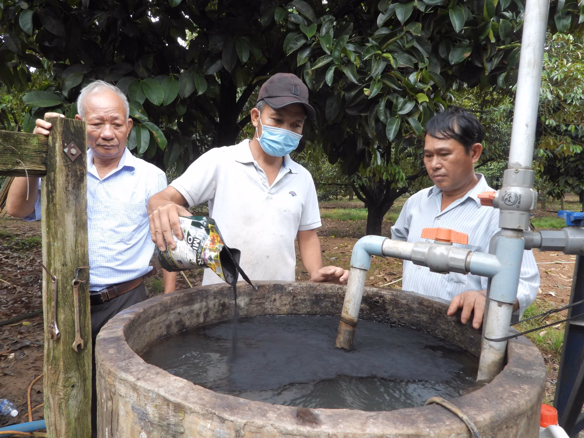 "Ông Năm sầu riêng” với sáng tạo khoa học kỹ thuật, sản xuất nông nghiệp hữu cơ ảnh 3