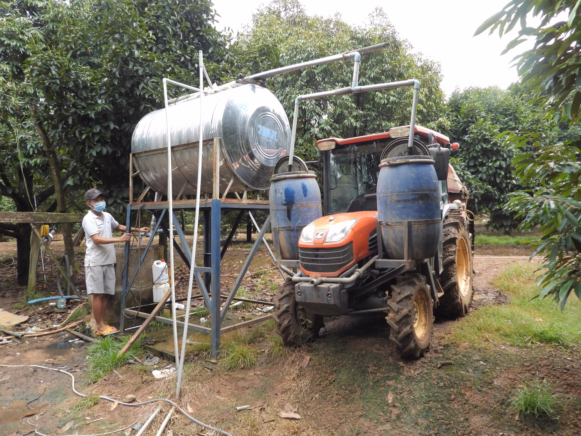 "Ông Năm sầu riêng” với sáng tạo khoa học kỹ thuật, sản xuất nông nghiệp hữu cơ ảnh 1