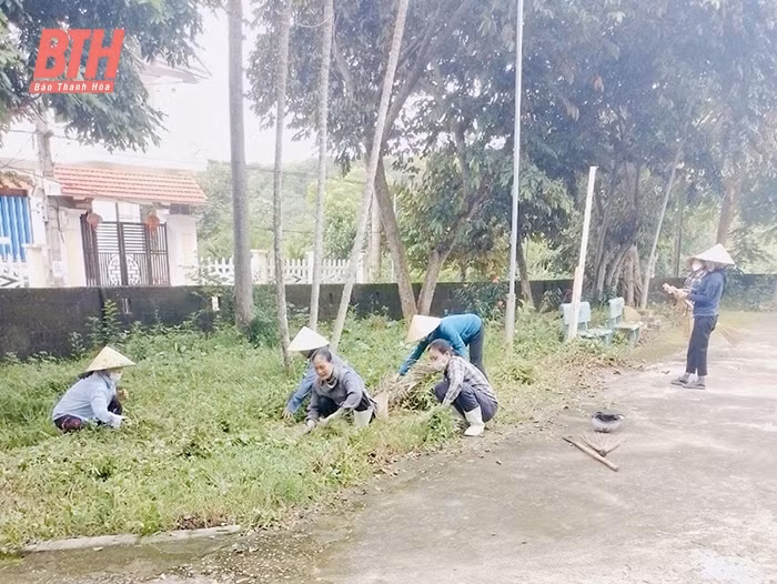 Thanh Hóa: Giám sát sớm, xử lý triệt để các ổ dịch sốt xuất huyết ảnh 1