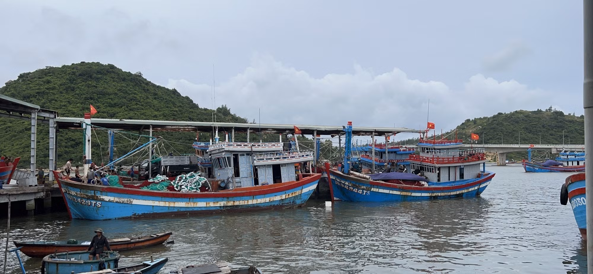 Ứng phó với bão số 4: Bình Định ưu tiên sơ tán người dân sống ven biển, khu vực nguy cơ ảnh hưởng cao ảnh 1