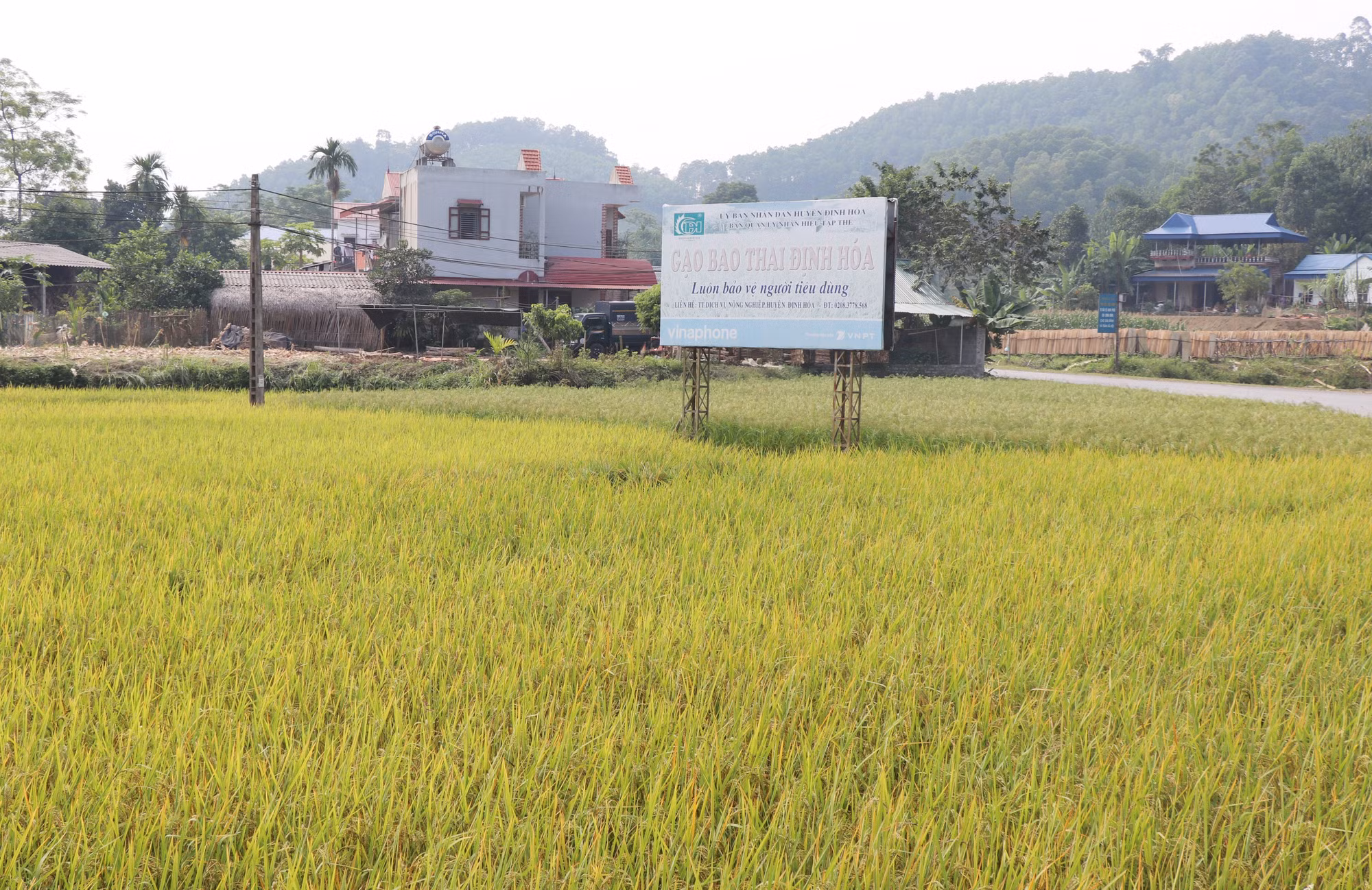 Nỗ lực đưa Định Hóa trở thành huyện nông thôn mới trong năm 2023 ảnh 1