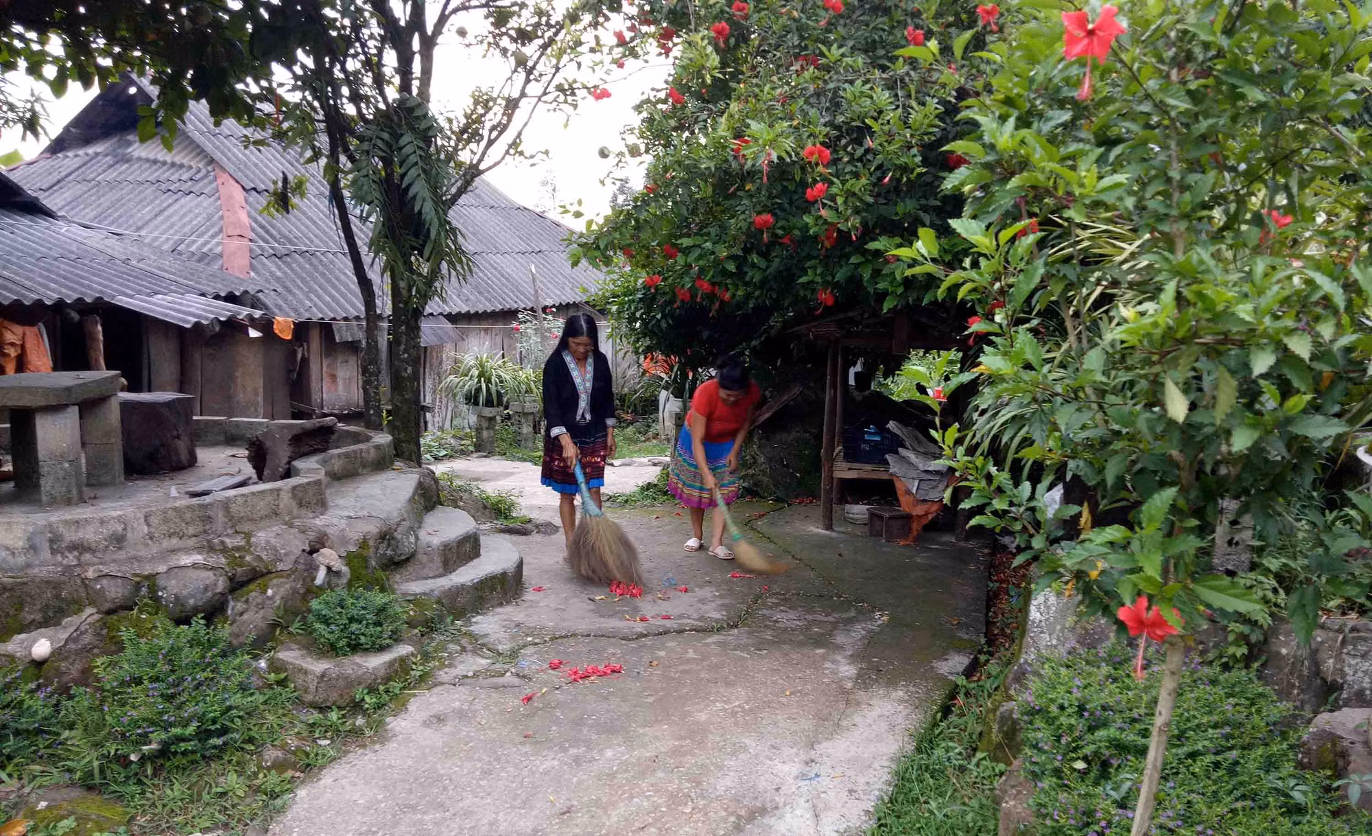 Lai Châu tăng cường phòng, chống bệnh sốt xuất huyết ảnh 1