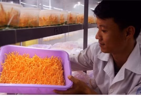 Độc đáo bình rượu biểu tượng con hổ của anh Trương Quang Ninh ảnh 1