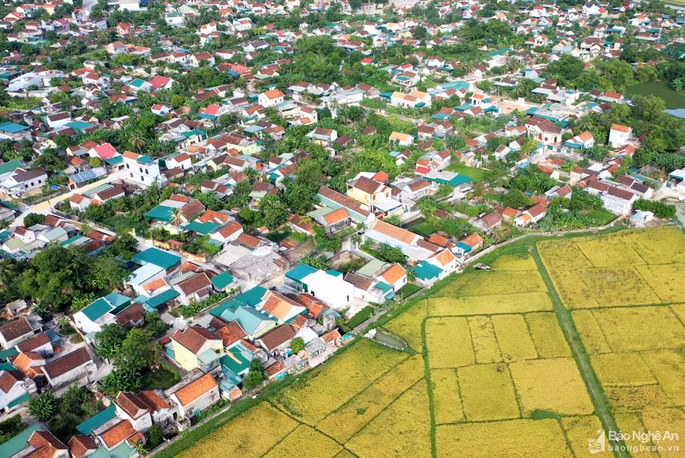 Nghệ An gắn xây dựng nông thôn mới với đô thị hóa nông thôn ảnh 1