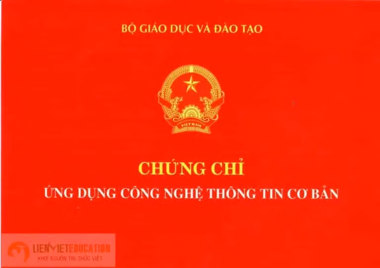 Họp báo Chính phủ thường kỳ tháng 11/2020: Quy định về ngoại ngữ, tin học phù hợp với từng vị trí việc làm ảnh 1