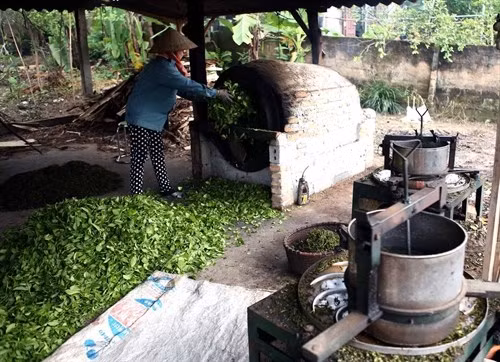 Quỹ hỗ trợ nông dân Phú Thọ: "Tiếp sức" cho nông dân vượt khó, làm giàu ảnh 1