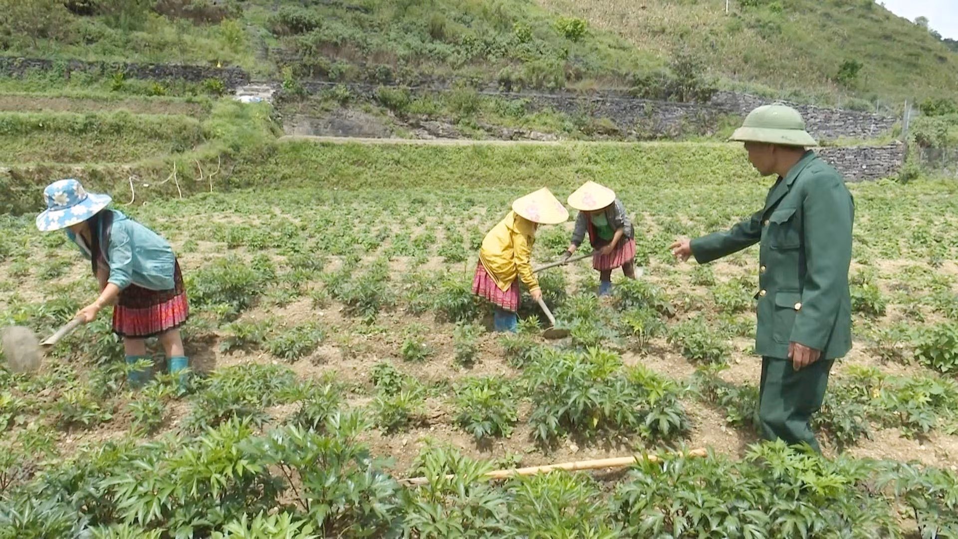 Học và làm theo Bác: Những " Đảng viên đi trước" ở Lai Châu ảnh 1