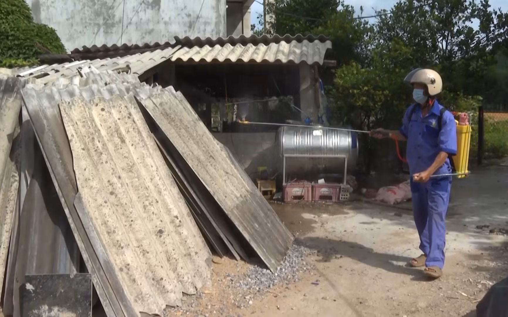 Quảng Bình khẩn trương phòng, chống bệnh dịch tả lợn châu Phi ảnh 2