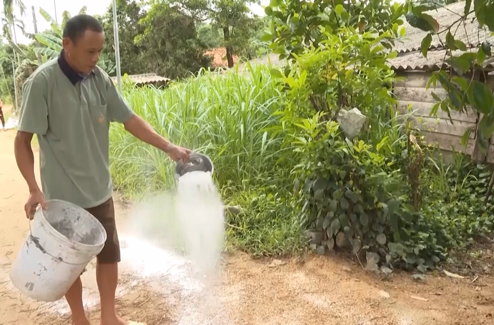 Quảng Bình khẩn trương phòng, chống bệnh dịch tả lợn châu Phi ảnh 4