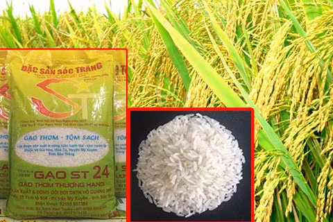 Sóc Trăng xây dựng thương hiệu cho các nông sản, đặc sản ảnh 1