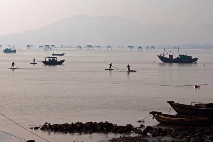 Thanh Hóa: Phát triển sản xuất, khai thác tiềm năng vùng đất ven biển và hải đảo ảnh 3