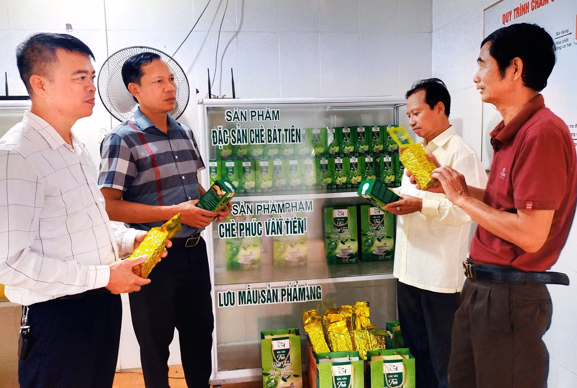 Xanh lại vùng chè trọng điểm Yên Bái ảnh 3