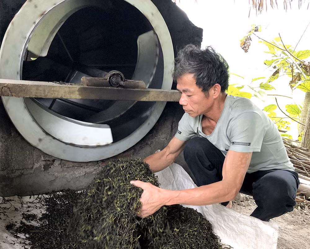 “Cõng vốn” lên non giúp đồng bào làm giàu ở Phú Thọ ảnh 1